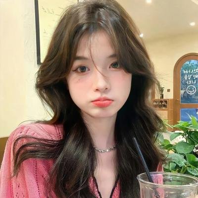 木马上的女人 海报
