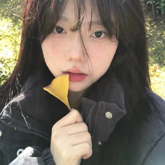 柯罗耶夫人的情人 海报
